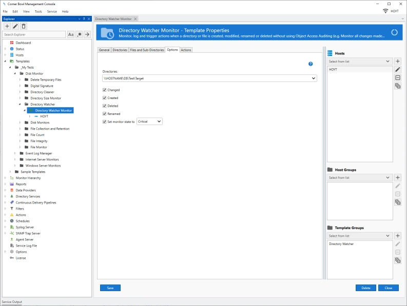 Directory Change Monitor Template Properties