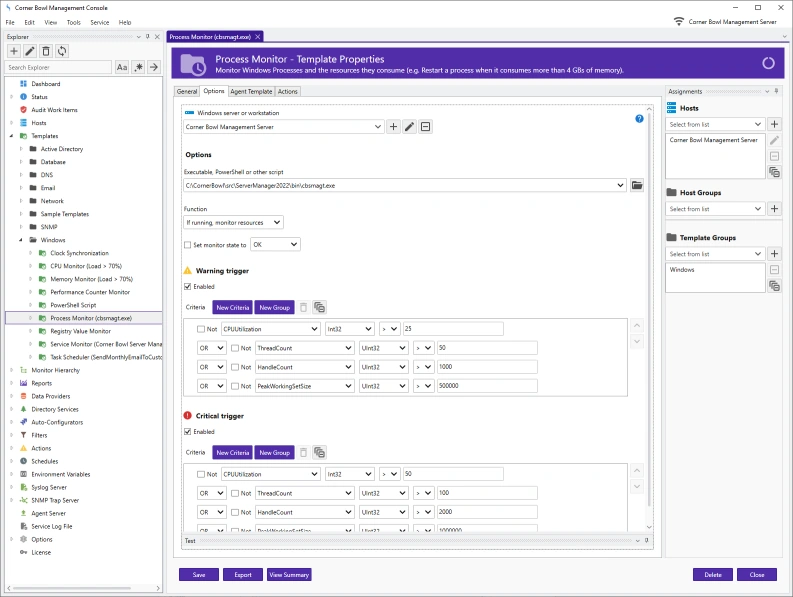 Process Monitor Template Properties