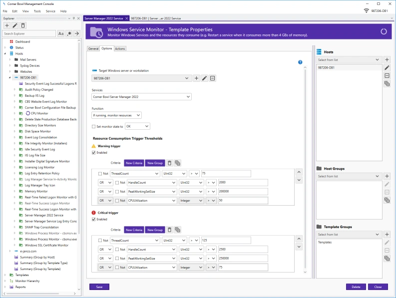 Windows Service Monitor Template Properties